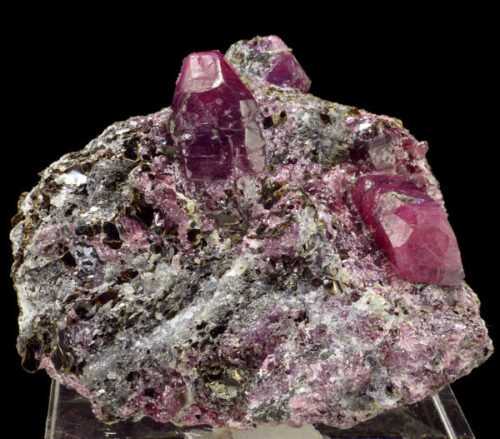 In a 2.5 Billion-year-old Ruby antiquated traces of life finding encased