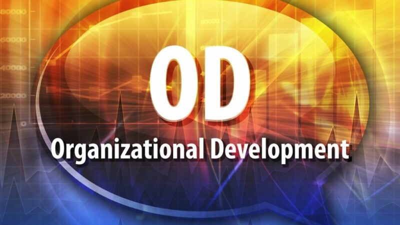 Development organization looks for representatives in the midst of deficiencies and long lead times